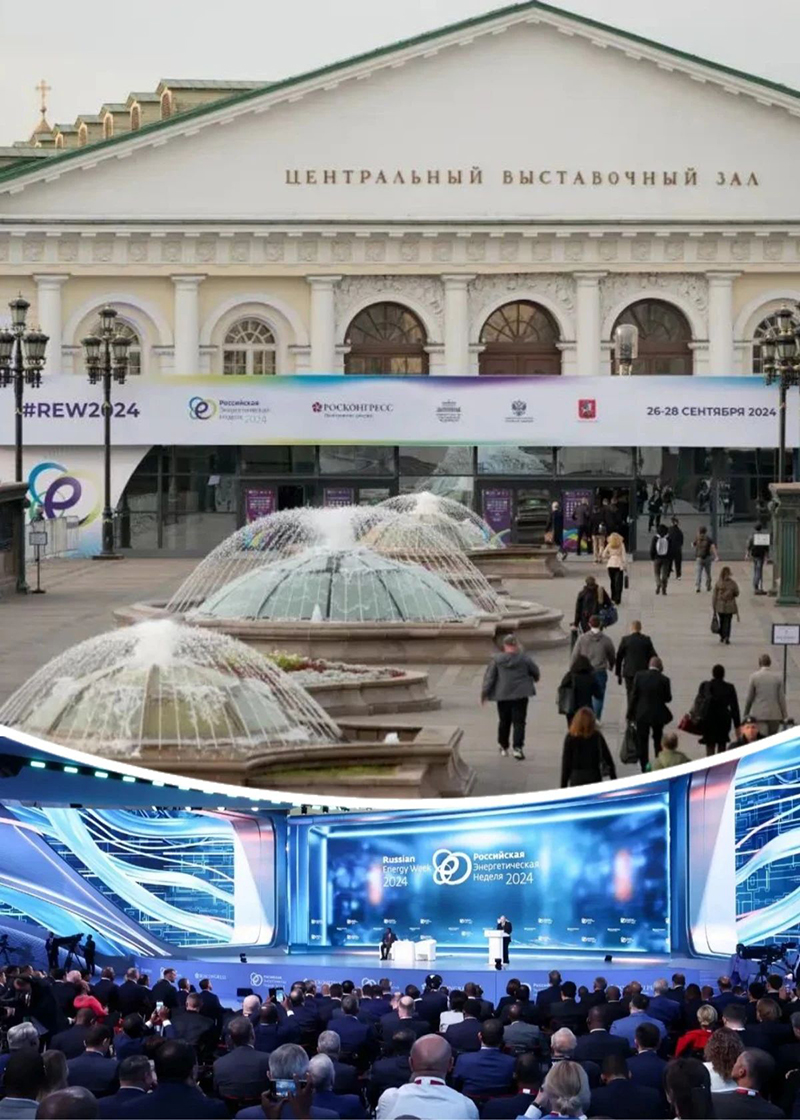 1736134442638316.jpg 1.jpg